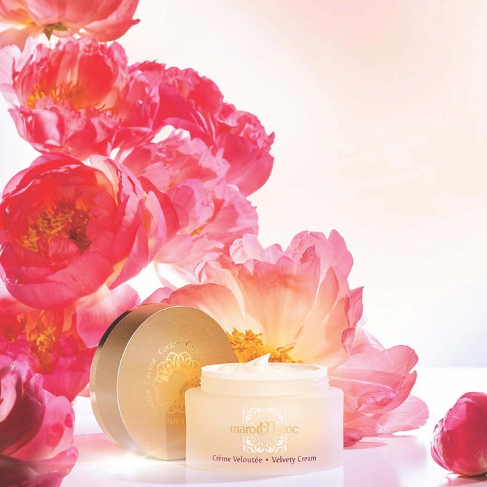 Cactéa - Crème Veloutée